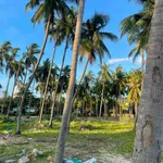 Bán đất mặt biển 2500m² Hàm Tiến Mũi Né 51 tỷ - Ảnh thu nhỏ 3