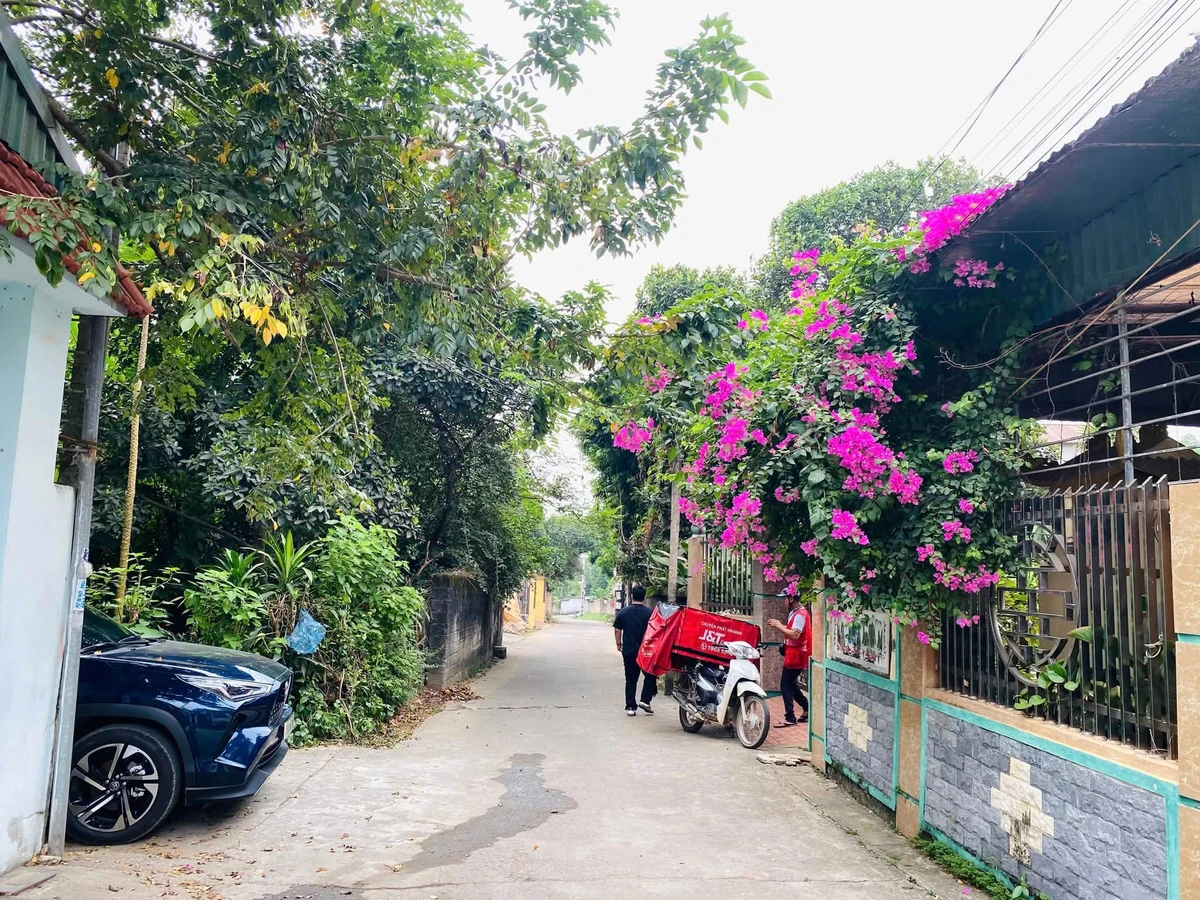 Bán đất Phường Nông Trang, Phú Thọ, 120m2, chưa 1 tỷ - Ảnh thu nhỏ 2