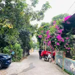 Bán đất Phường Nông Trang, Phú Thọ, 120m2, chưa 1 tỷ - Ảnh thu nhỏ 2
