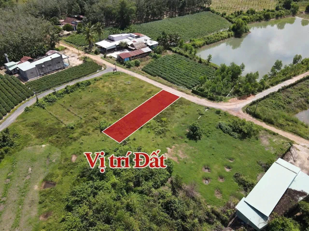 Bán đất nền 155m² full thổ cư Châu Thành, Tây Ninh chỉ 139 triệu - Ảnh 1