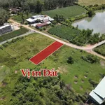 Bán đất nền 155m² full thổ cư Châu Thành, Tây Ninh chỉ 139 triệu - Ảnh thu nhỏ 1