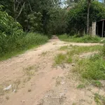 Bán 42000m² đất mặt tiền 389m tại Tây Ninh - Ảnh thu nhỏ 2