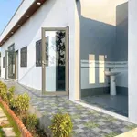 Bán nhà sân vườn 861m² 2PN Cần Dước Tây Ninh 3,7 tỷ - Ảnh thu nhỏ 4
