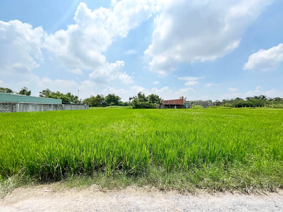 Bán đất Đức Lập Hạ, Đức Hòa, Long An, 2100 m², 3 tỷ 300 - Ảnh thu nhỏ 4
