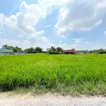 Bán đất Đức Lập Hạ, Đức Hòa, Long An, 2100 m², 3 tỷ 300 - Ảnh thu nhỏ 4