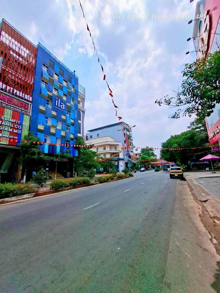 Bán biệt thự 250m2 đường số 9 khu trung tâm hành chính Dĩ An, Bình Dương - Ảnh thu nhỏ 4