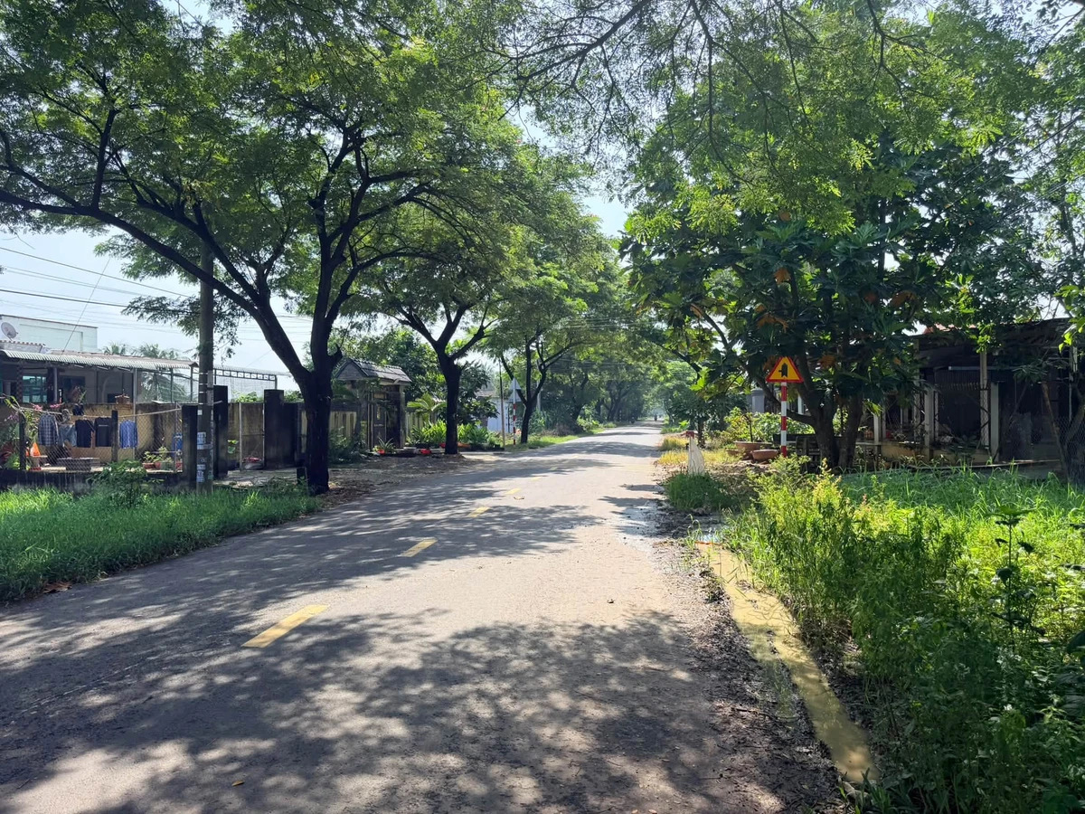Bán đất 2 mặt tiền full thổ cư tặng nhà cấp 4 tại Thanh Phước, Gò Dầu, Tây Ninh - Ảnh thu nhỏ 5