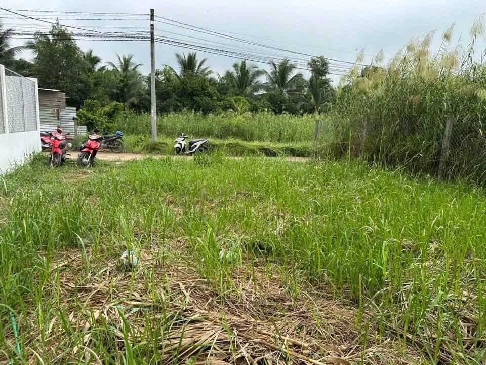 Bán 2 nền đất liền kề 300m2 thổ cư tại xã Hữu Định, Bến Tre giá 1,85 tỷ - Ảnh thu nhỏ 3