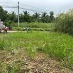 Bán 2 nền đất liền kề 300m2 thổ cư tại xã Hữu Định, Bến Tre giá 1,85 tỷ - Ảnh thu nhỏ 3