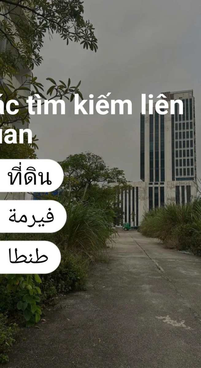 Bán đất 150m² sau Toyota Tuần Châu, 4 triệu/m² - Ảnh thu nhỏ 3