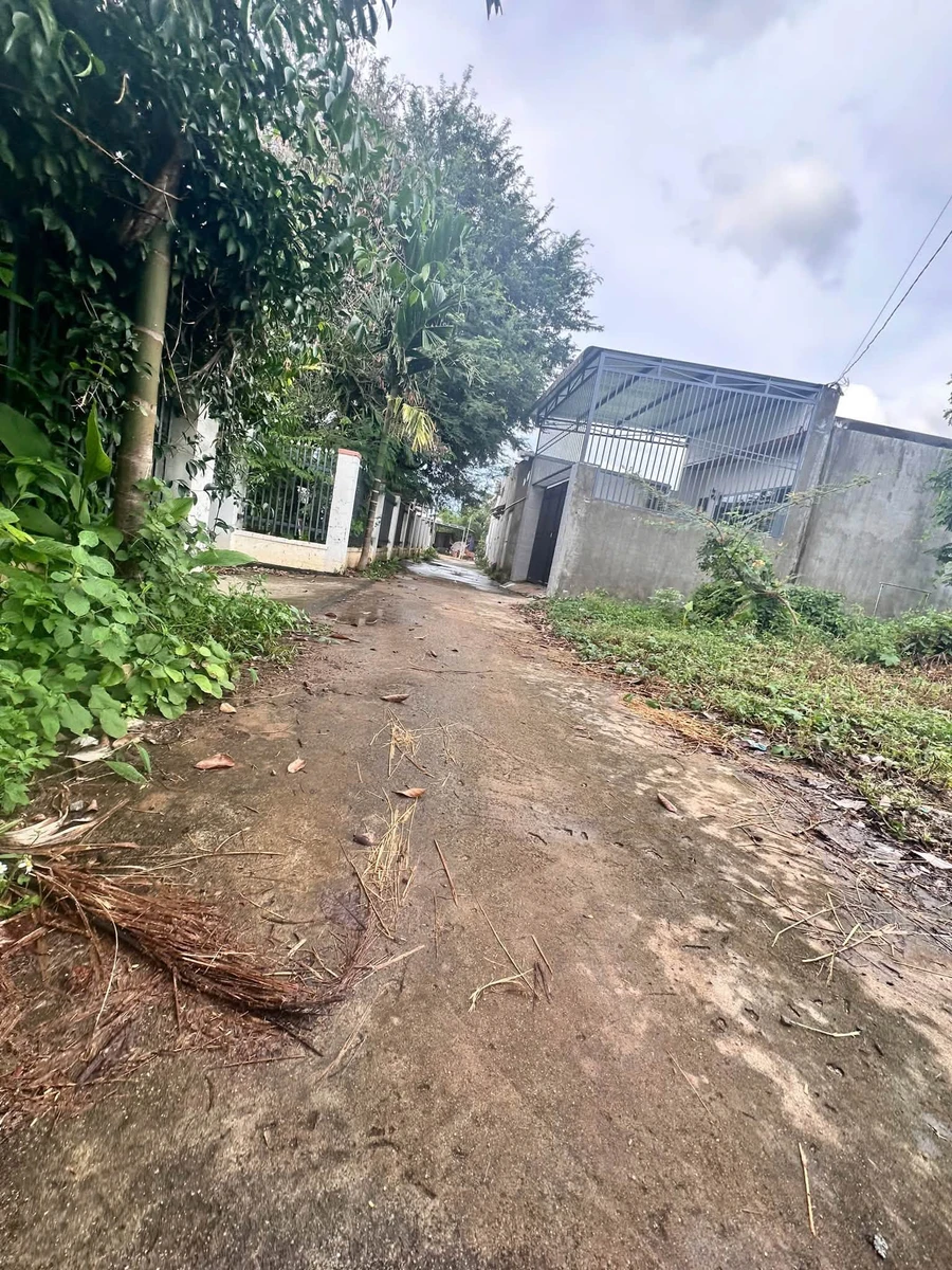 Bán đất sau chợ Eakao 60m2, 1 tỷ 190 triệu Quận 12 - Ảnh thu nhỏ 2