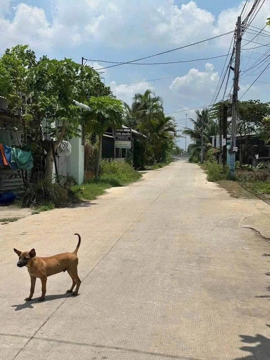 Bán lô đất 400m² mặt tiền Quận 1 - 2,2 tỷ - Ảnh 1