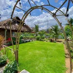 Bán nhà vườn 508m² 2 phòng ngủ KCN Giao Long Bến Tre 2,1 tỷ - Ảnh thu nhỏ 4
