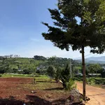 Bán lô đất 200m² Nam Ban Lâm Hà 3.3tr/m² - Ảnh thu nhỏ 1