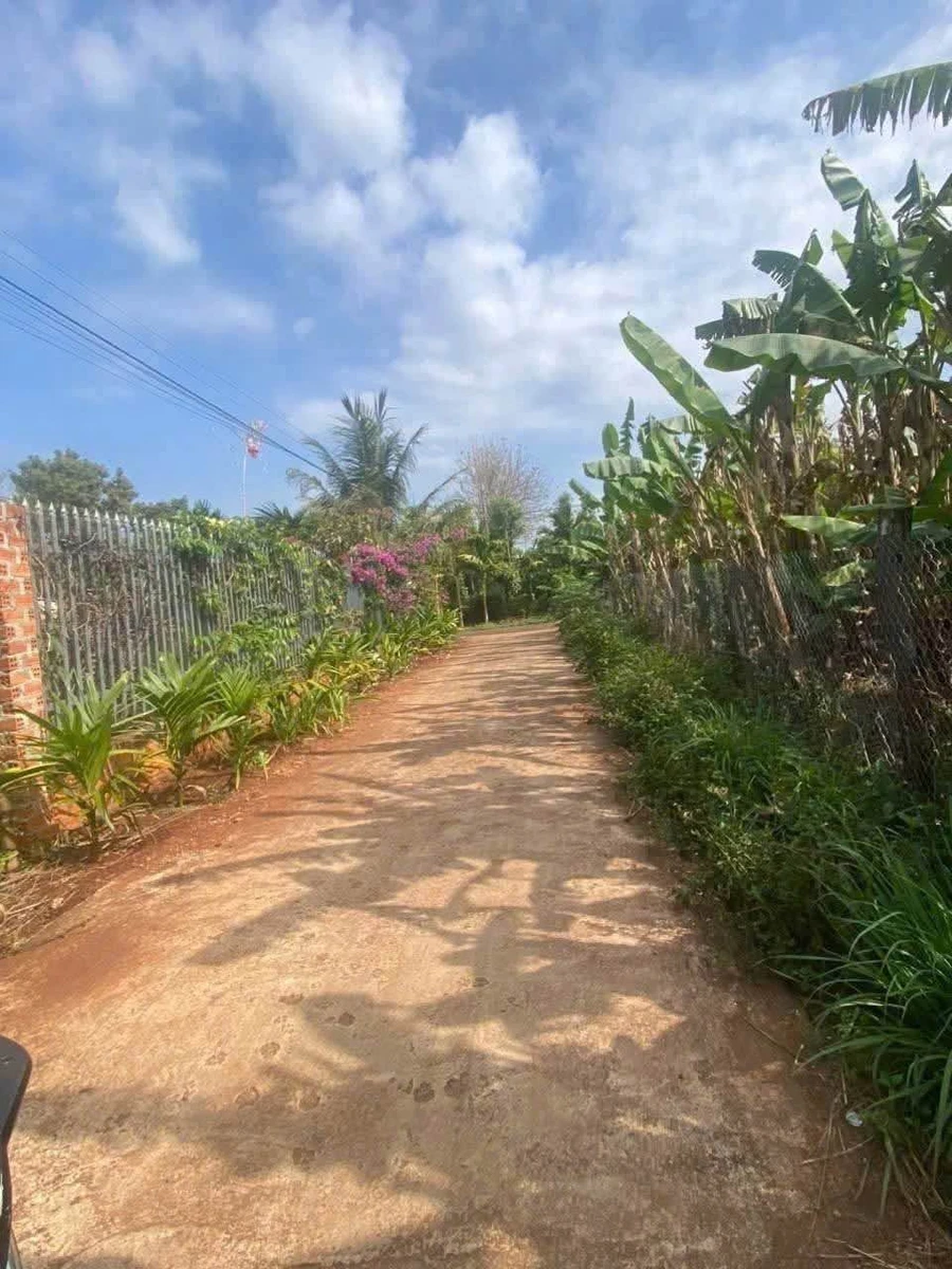 Bán lô đất hẻm cấp 1 đường Phan Huy Chú, Hòa Xuân, Đà Nẵng, 7x20m giá 650 triệu - Ảnh thu nhỏ 2