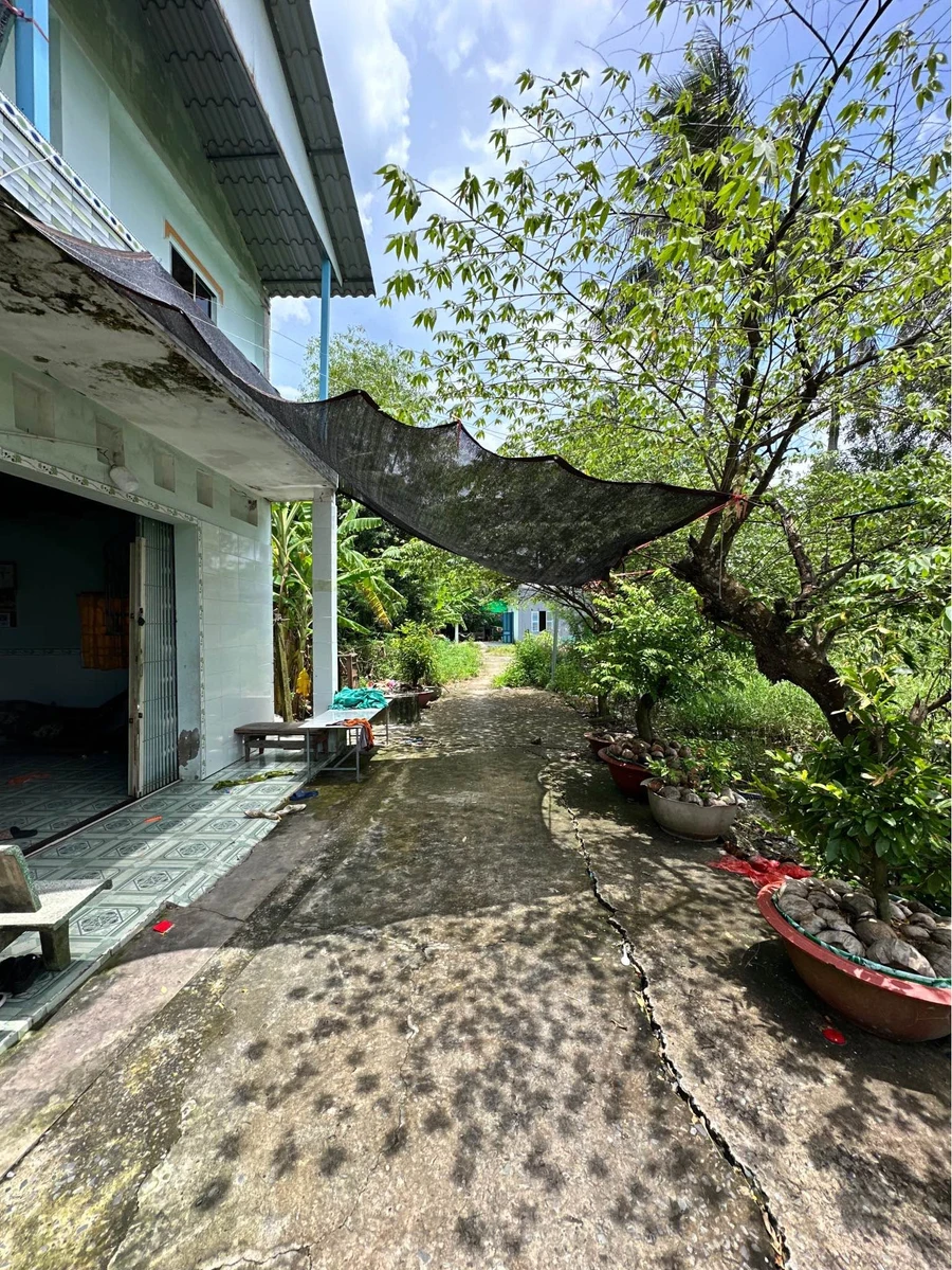 Bán đất thổ cư 123.5m² Phường Long An, Tân An - Ảnh thu nhỏ 2