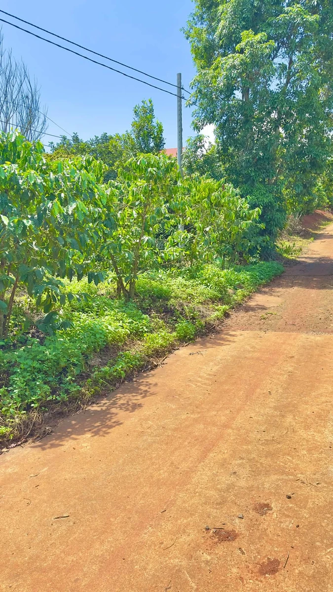 Bán đất 48m² mặt đường Tân Hà Lâm Hà, Hóc Môn - 2,2 tỷ - Ảnh thu nhỏ 2