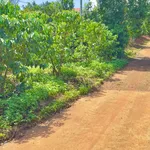 Bán đất 48m² mặt đường Tân Hà Lâm Hà, Hóc Môn - 2,2 tỷ - Ảnh thu nhỏ 2