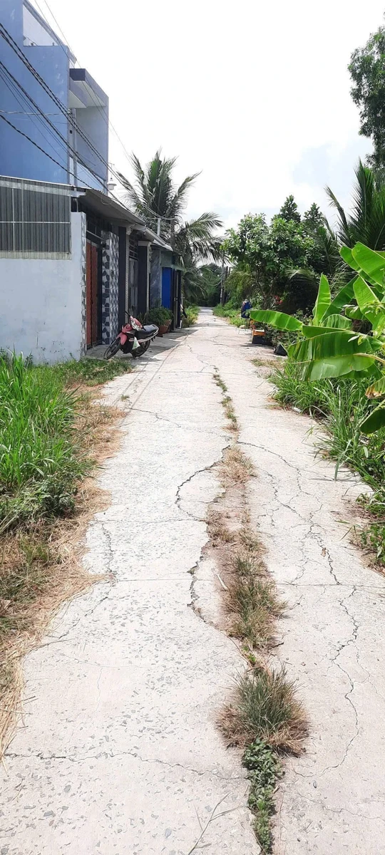 Bán đất thổ hẻm 115m² Phường 4 Tân An Long An 990 triệu - Ảnh 1