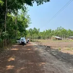 Bán đất 1000m² Sào Quang Minh Hóc Môn, 299 triệu - Ảnh thu nhỏ 1