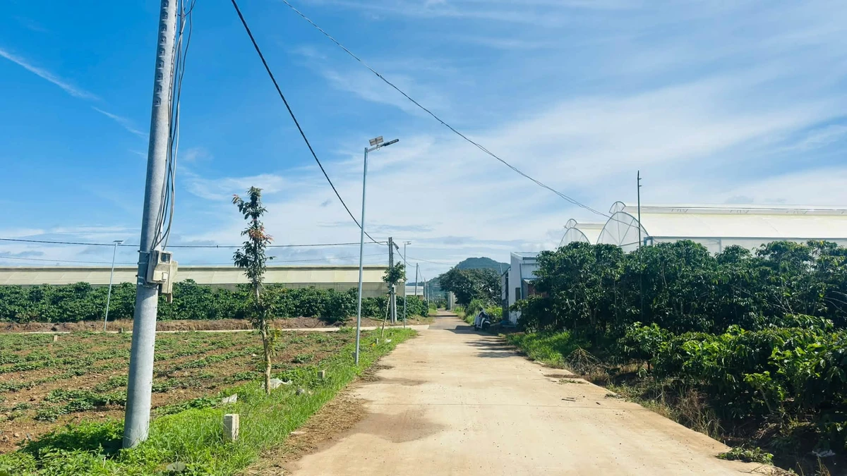 Bán đất Bình Thạnh Đức Trọng 72m² giá 599 triệu - Ảnh 1