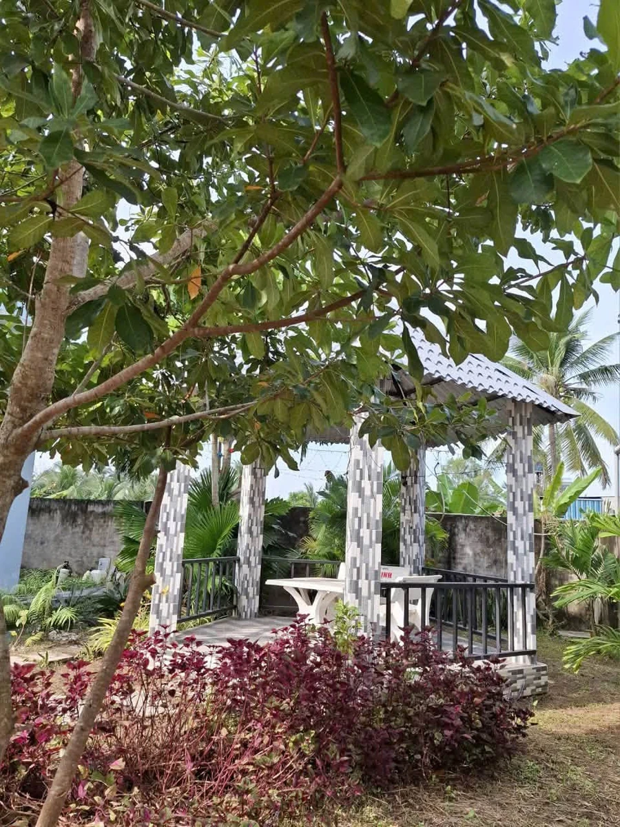 Bán nhà vườn 925m² Trương Định Rạch Giá 4 tỷ - Ảnh thu nhỏ 4