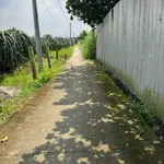 Bán 3 nền đất liền kề Song Bình 100m² giá 399 triệu - Ảnh thu nhỏ 3