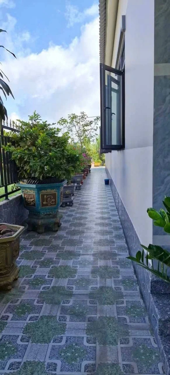 Bán nhà mái thái 2PN tại An Điền, Bình Chánh, TP.HCM - Ảnh thu nhỏ 5