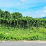 Bán đất vườn xoài 610m2 Phước Hải, Long Đất, Bà Rịa - Vũng Tàu - Ảnh thu nhỏ 4