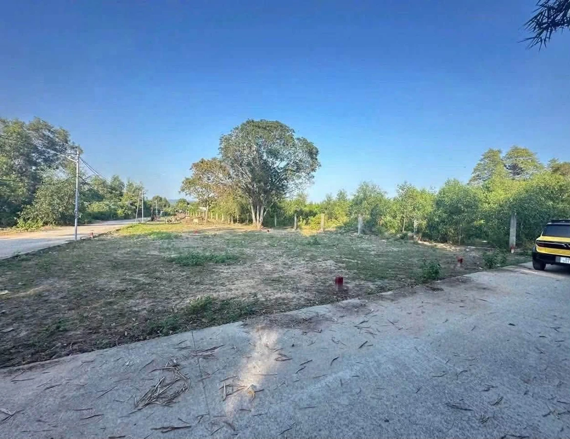 Bán lô đất ở 500m² Bến Tràm Phú Quốc, mặt tiền 30m - Ảnh thu nhỏ 2