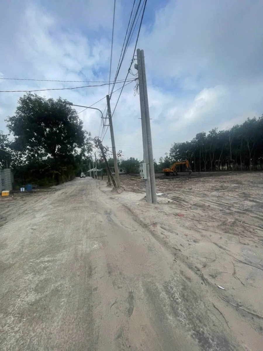 Bán đất 225m2 gần KDC Đại Nam, Bình Chánh giá 399 triệu - Ảnh thu nhỏ 2