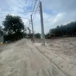 Bán đất 225m2 gần KDC Đại Nam, Bình Chánh giá 399 triệu - Ảnh thu nhỏ 2