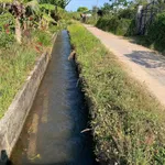 Bán đất 1000m2 thổ cư Hàm Hiệp, Bình Thuận 750 triệu - Ảnh thu nhỏ 1