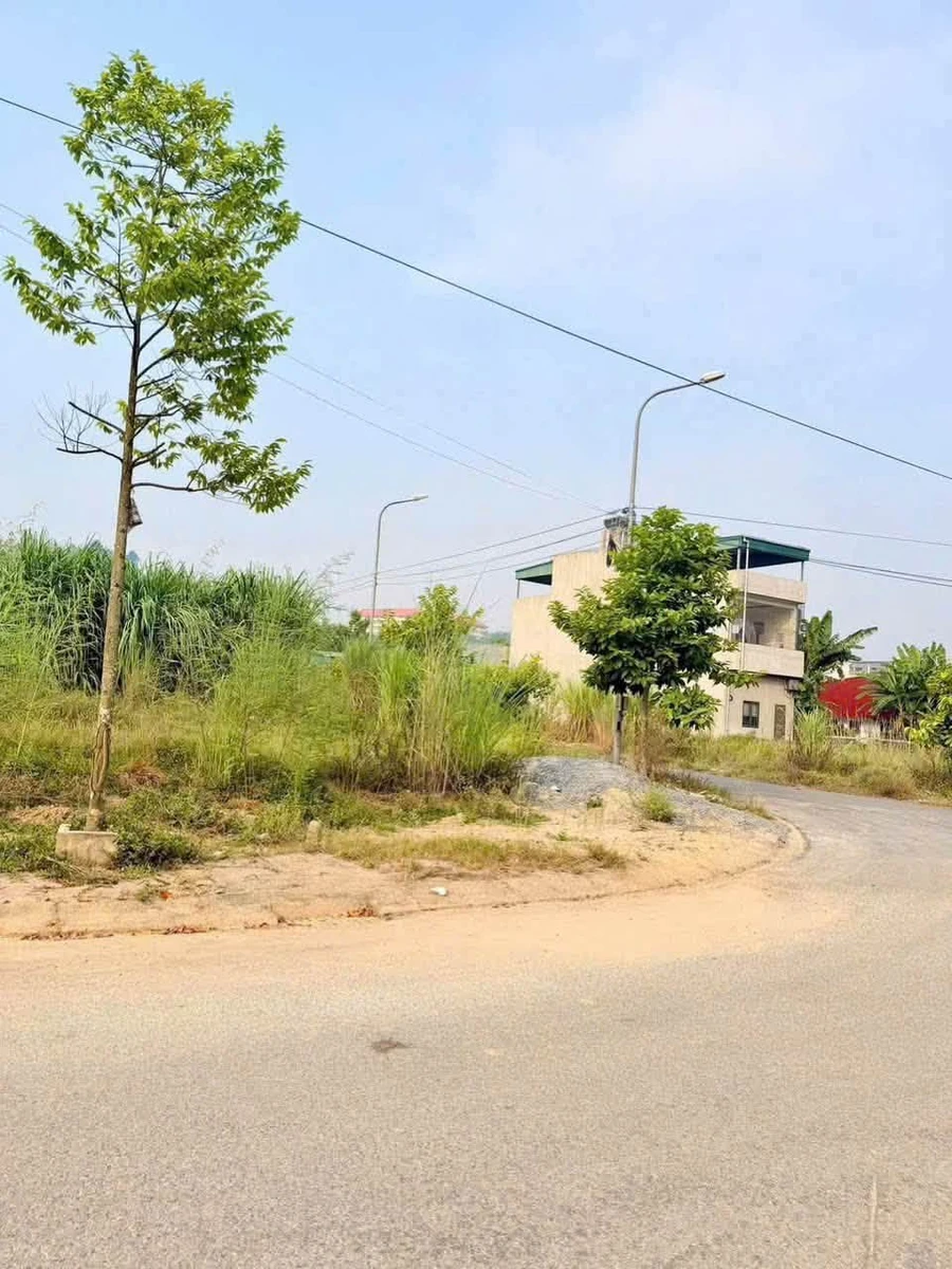 Bán 2 lô đất liền nhau 10×19m ở Lào Cai, giá 1 tỷ 1 - Ảnh 1