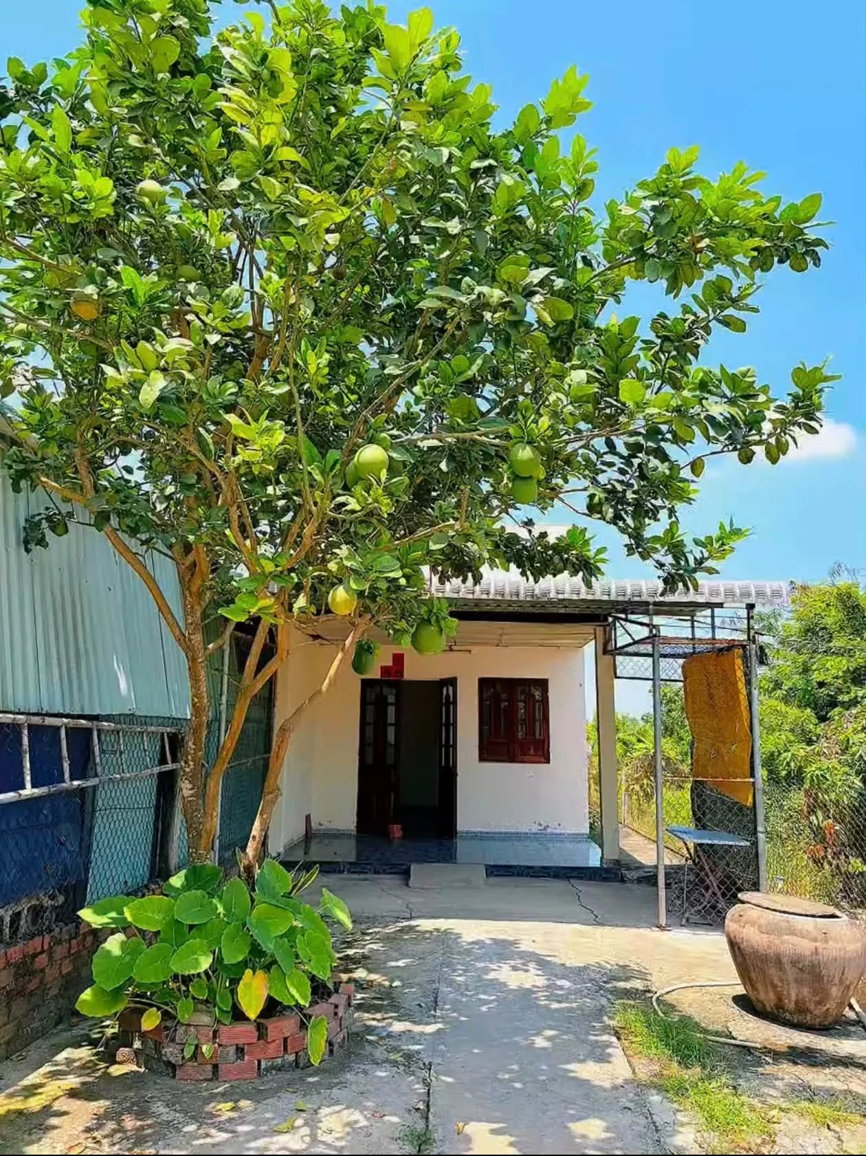Bán nhà mặt tiền Lê Văn Tưởng Tân An Long An 250m² 1,55 tỷ - Ảnh 1