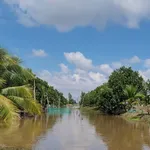 Bán đất 5870m2 Kiên Giang, mặt tiền 21m, nhà 300m2, giá 1 tỷ 500 - Ảnh thu nhỏ 3