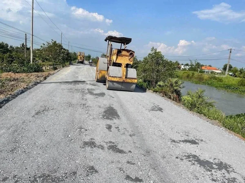 Bán đất vườn 1000m² Bình Đức Bến Lức Long An 590 triệu