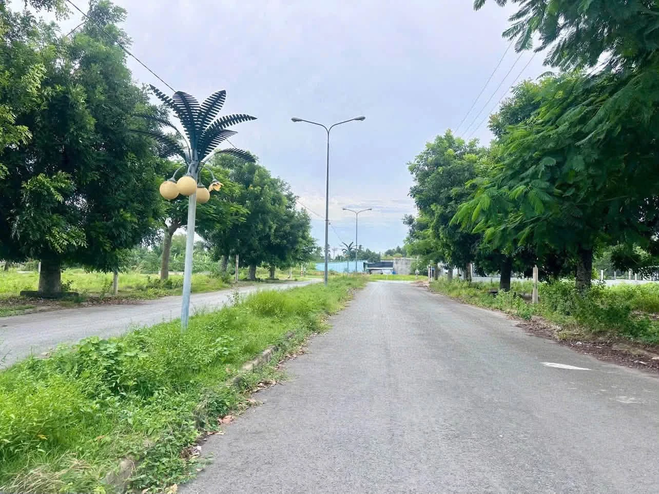 Bán lô đất 100m² Đường số 1 KDC Đại Dương, Tây Ninh - Ảnh 1