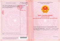 Bán đất tại phường Tuy Hoà, tỉnh Đắk Lắk - Ảnh thu nhỏ 5