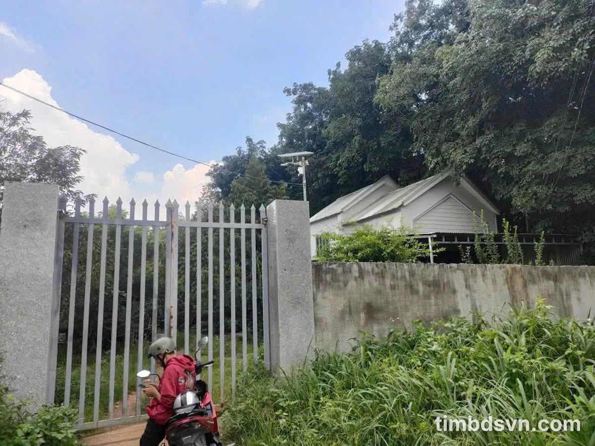 Bán đất Tây Hòa Cần Giờ 1100m2 1 tỷ 650 triệu - Ảnh thu nhỏ 4