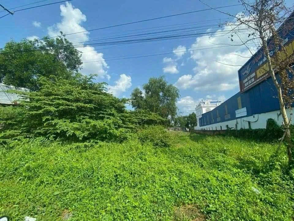 Bán đất mặt tiền Nguyễn Văn Cừu Cần Thơ 1.629m² - 48 tỷ - Ảnh 1