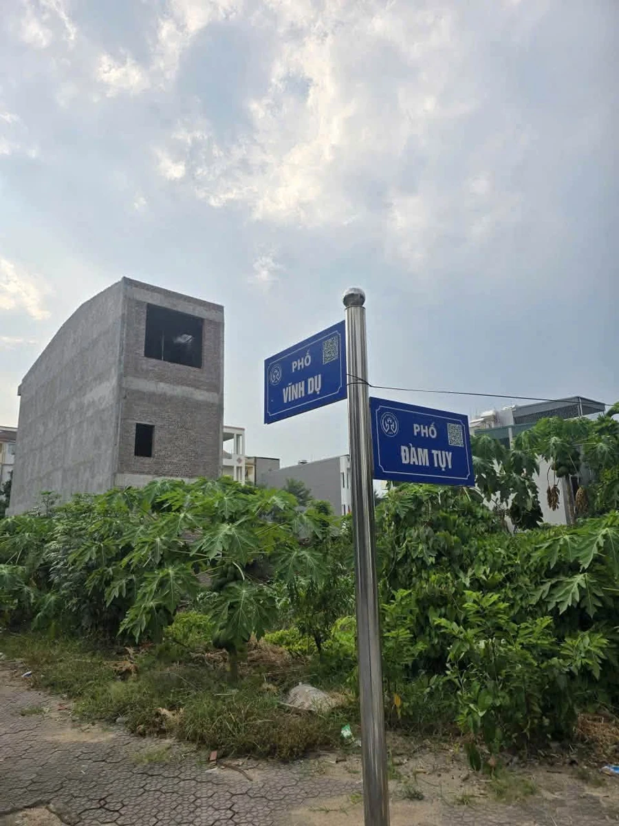 Bán đất liền kề mặt đường Nguyệt Quế KĐT Đại An 73,12m2, Tứ Minh, Hải Dương - Ảnh thu nhỏ 5