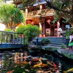 Chuyển nhượng nhà mặt phố Suối Hội Phú Pleiku: 1250m2, sẵn hạ tầng cao cấp, sổ hồng chính chủ - Ảnh thu nhỏ 13
