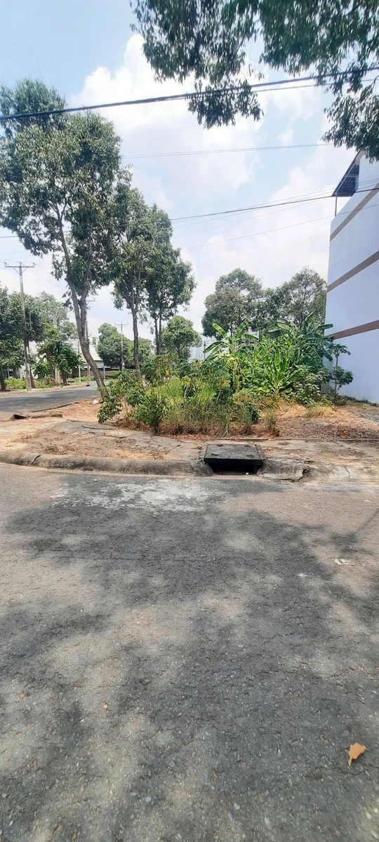 Bán cặp lô đất liền kề 73m² Phường 5 Tân An Long An - Ảnh thu nhỏ 3