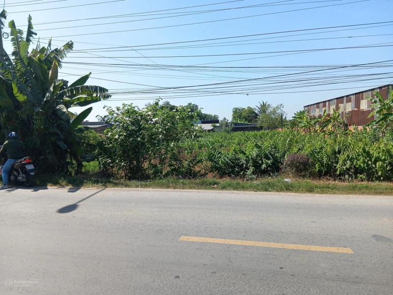 Bán Đất 1053,5 m2 tại Đường Quốc lộ 54, Xã Tân Thành, Huyện Lai Vung, 4,2 tỷ