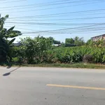 Bán Đất 1053,5 m2 tại Đường Quốc lộ 54, Xã Tân Thành, Huyện Lai Vung, 4,2 tỷ - Ảnh thu nhỏ 1