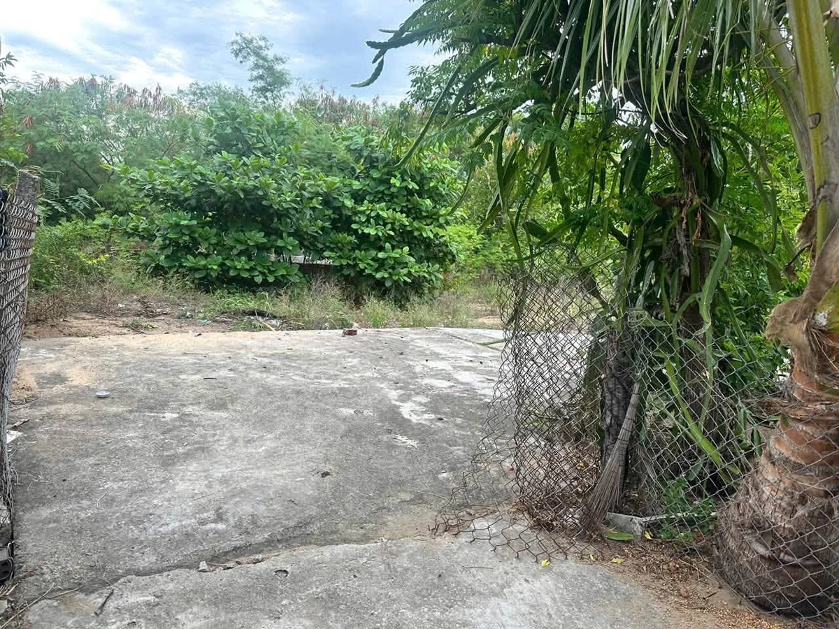 Bán đất 396m² tặng nhà cấp 4 Đắk Lắk 1 tỷ 2 - Ảnh thu nhỏ 4