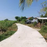 Bán đất nền Ninh Hoà Khánh Hòa 100m² giá 190 triệu - Ảnh thu nhỏ 2