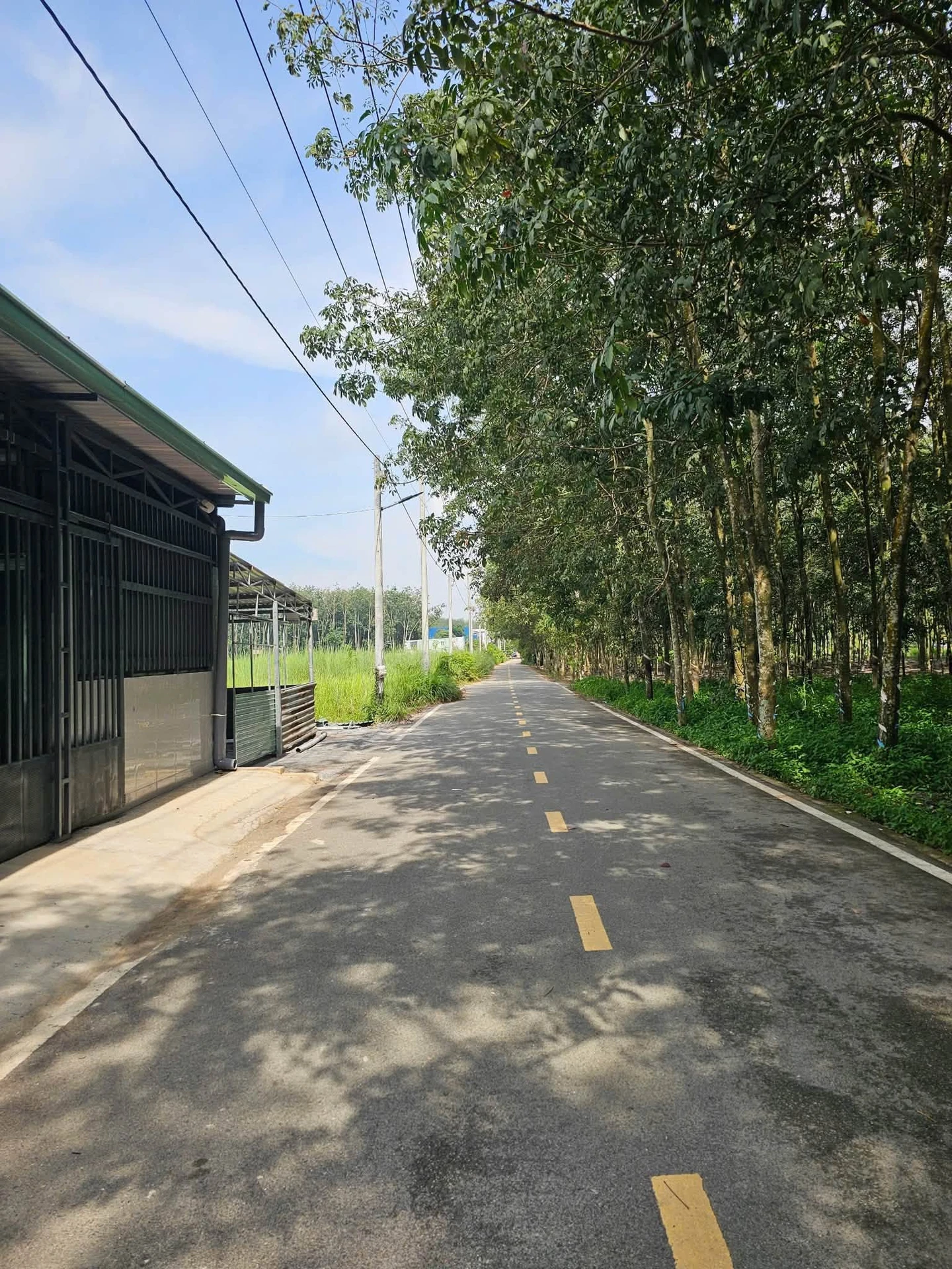 Bán đất Bình Mỹ 80m² 1 tỷ 6 - Ảnh 1