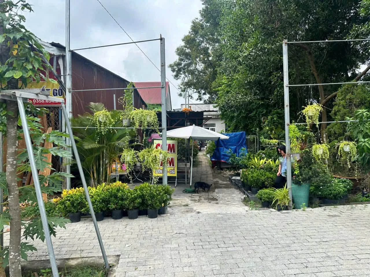 Bán đất mặt tiền Phú Mỹ 350m² giá 5,5 tỷ - Ảnh 1